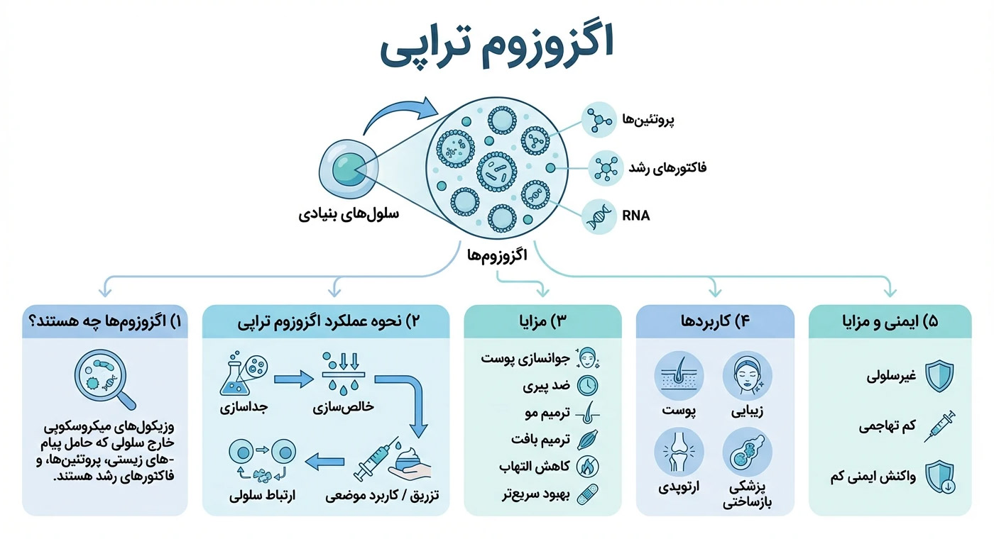 درباره اگزوزوم تراپی